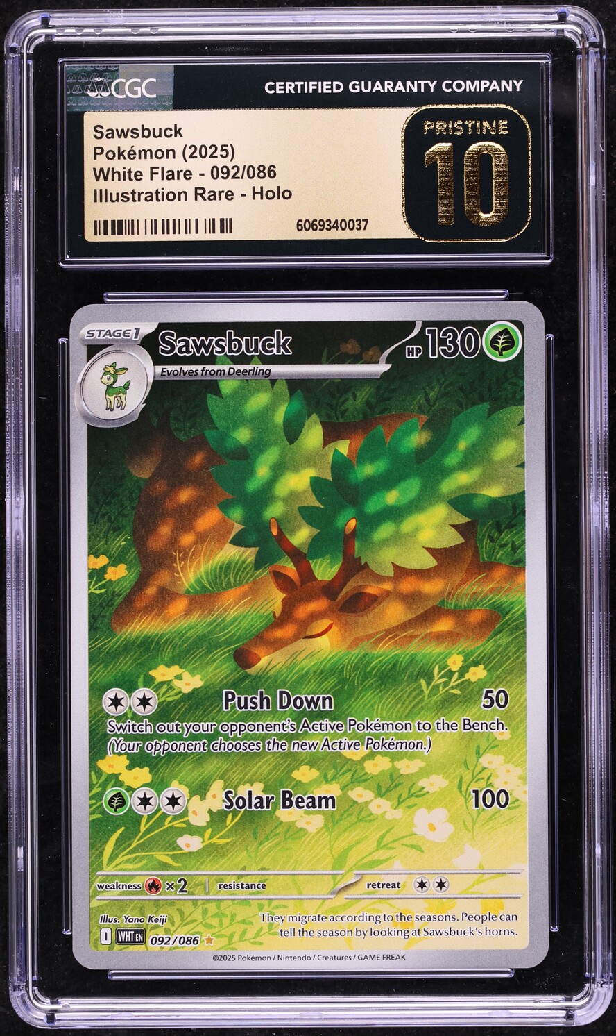 2025 Pokemon Scarlet & Violet White Flare IR Sawsbuck #092 CGC 10 PRISTINE