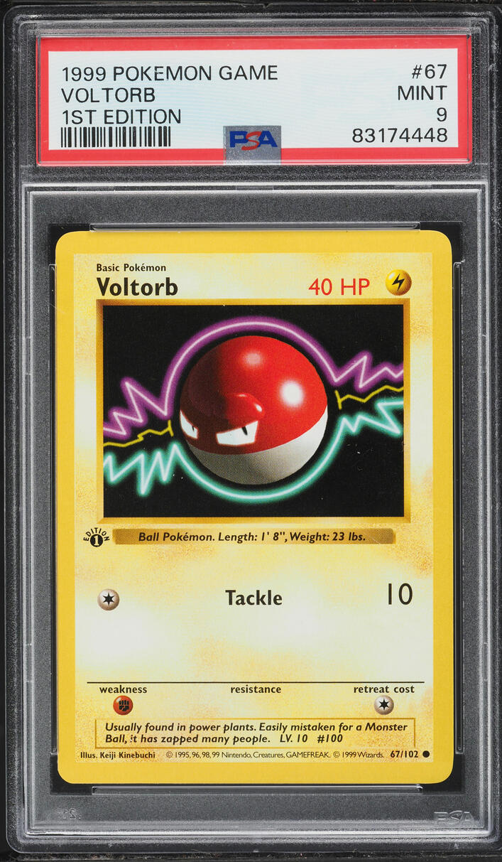 1999 Pokemon Base Set Shadowless 1st Edition Voltorb #67 PSA 9 MINT
