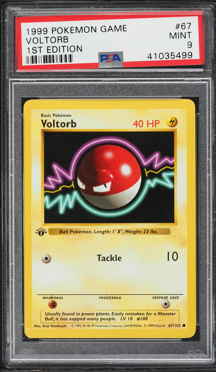 1999 Pokemon Base Set Shadowless 1st Edition Voltorb #67 PSA 9 MINT