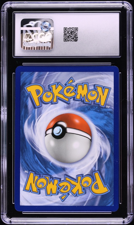 2019 Pokemon Sun & Moon Promo Hidden Fates Tins Holo Charizard GX #SM211 CGC 9 MINT
