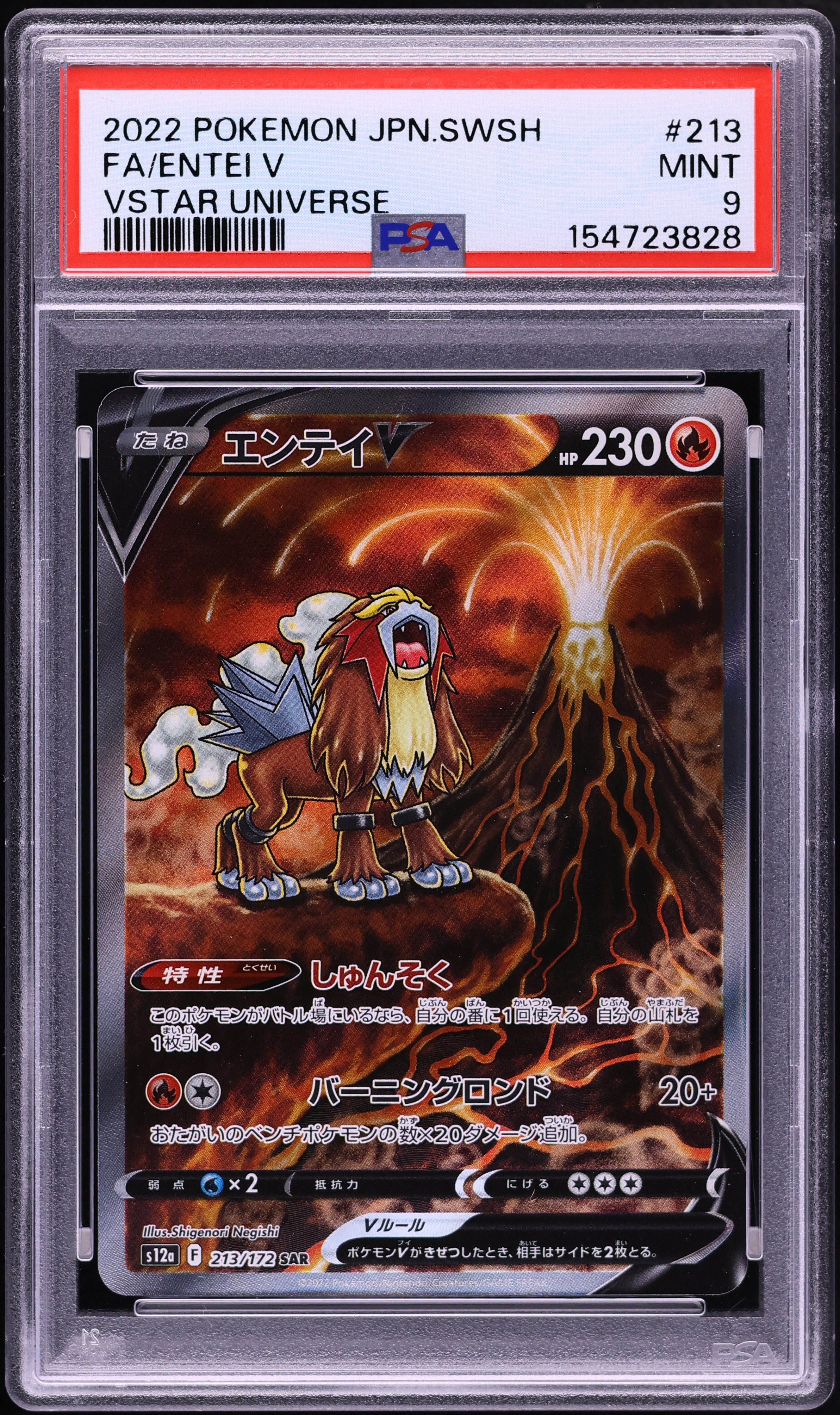 2022 Pokemon Japanese Sword & Shield VSTAR Universe SAR Entei V #213 PSA 9 MINT