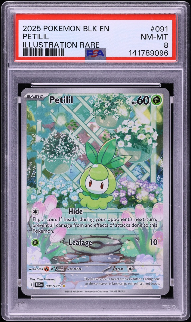 2025 Pokemon Scarlet & Violet Black Bolt IR Petilil #091 PSA 8 NM-MT