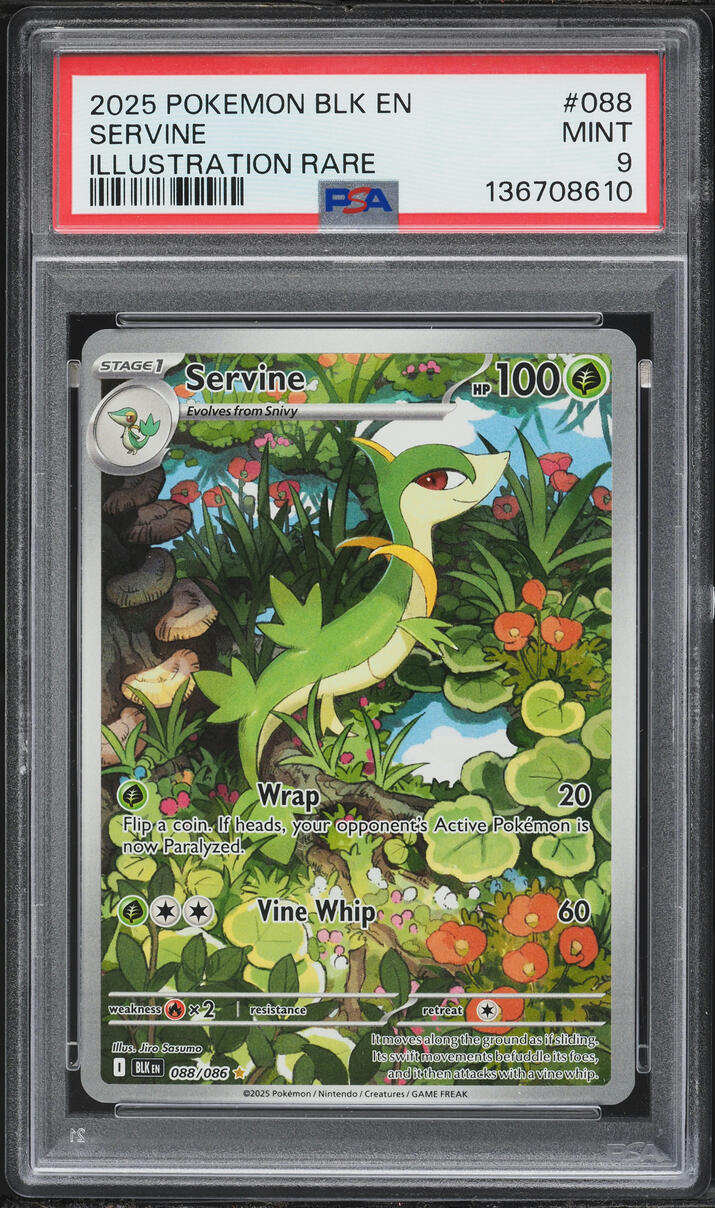 2025 Pokemon Scarlet & Violet Black Bolt IR Servine #88 PSA 9 MINT