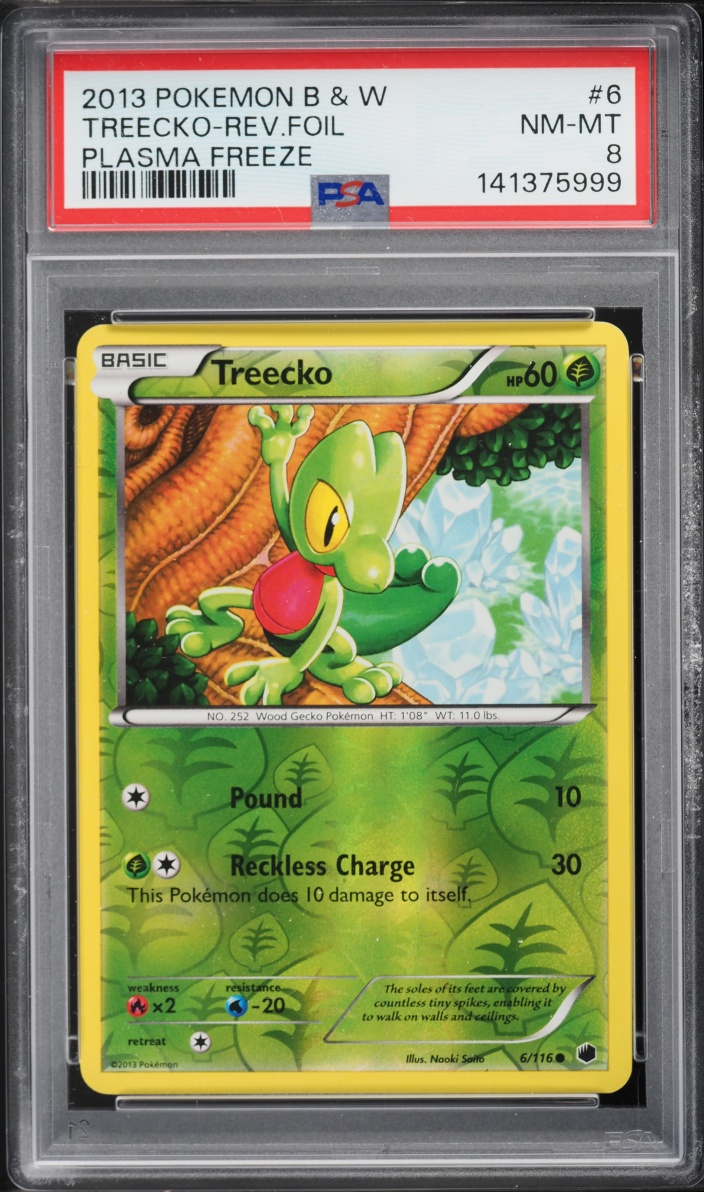 2013 Pokemon Black & White Plasma Freeze Reverse Foil Treecko #6 PSA 8 NM-MT