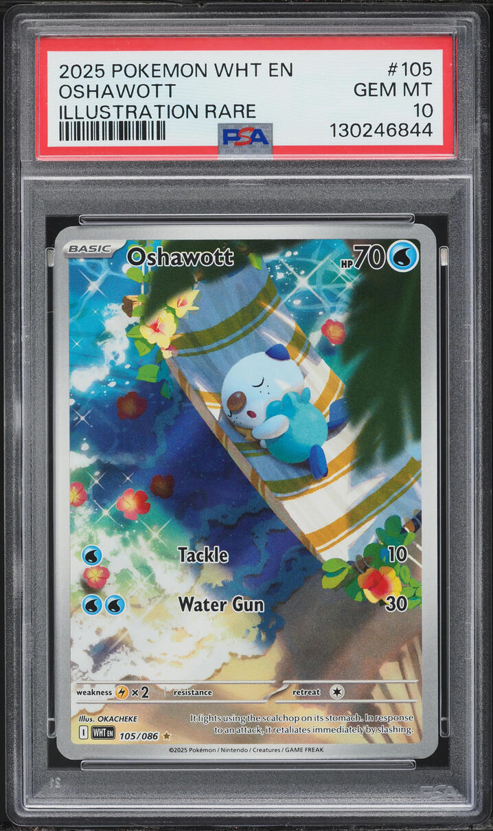 2025 Pokemon Scarlet & Violet White Flare IR Oshawott #105 PSA 10 GEM MINT