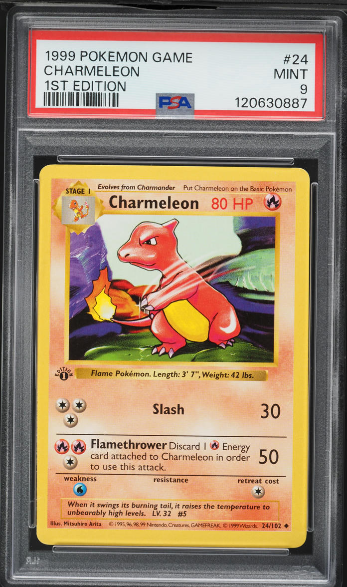 1999 Pokemon Base Set Shadowless 1st Edition Charmeleon #24 PSA 9 MINT
