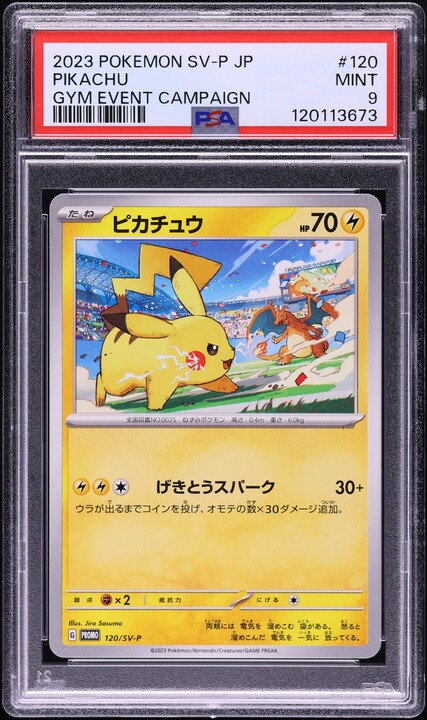 ピカチュウナガバ PROMO 2023 Pikachu 2023 Pokémon Japanese Scarlet & Violet Gym Event