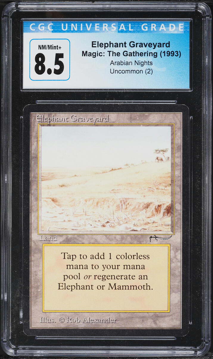 1993 Magic The Gathering MTG Arabian Nights Elephant Graveyard CGC 8.5 NM-MT+