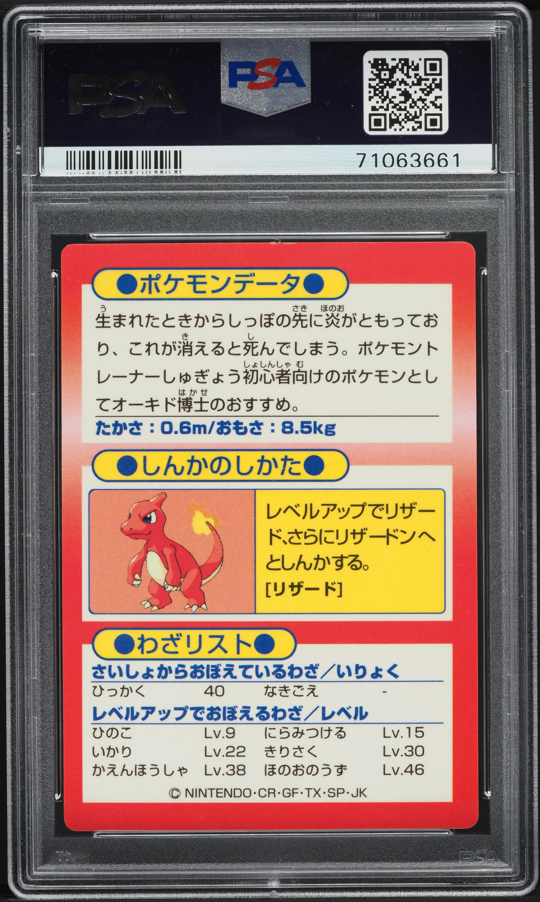 1997 Pokemon Japanese Meiji Promo Foil Charmander PSA 7 NRMT