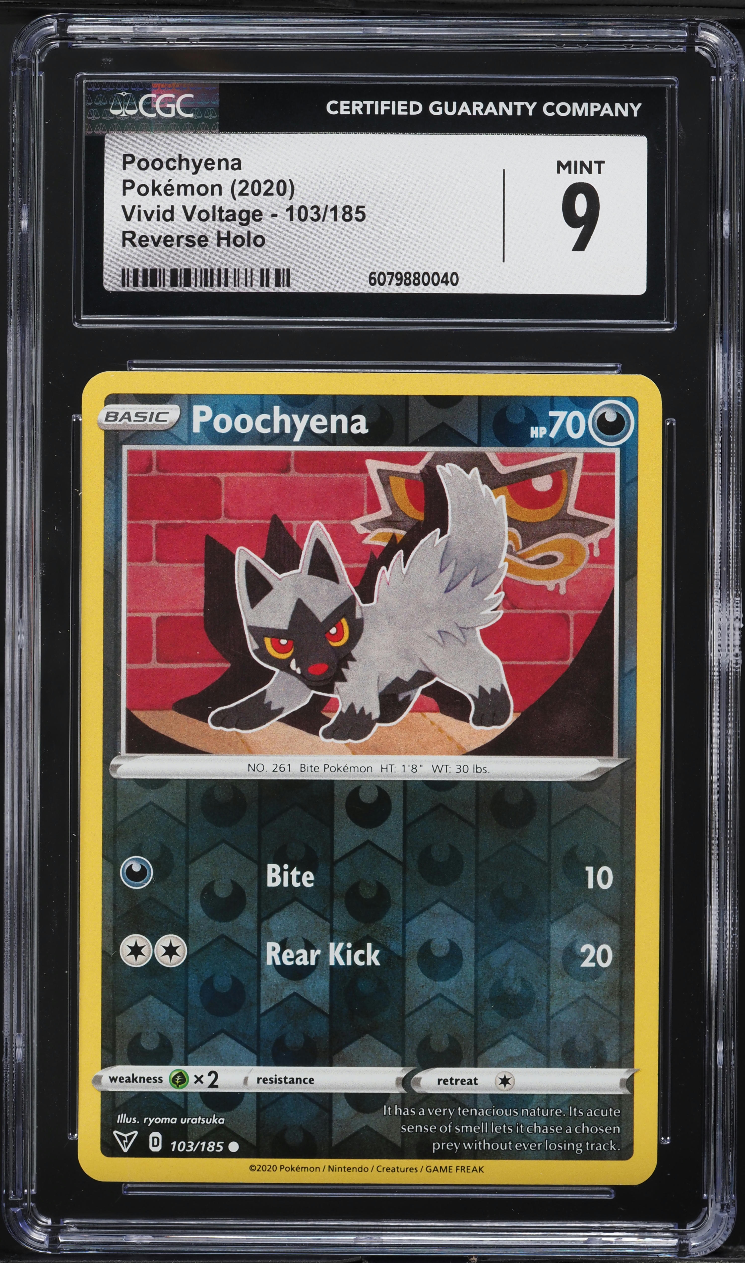 2020 Pokemon Sword & Shield Vivid Voltage Reverse Holo Poochyena #103 CGC 9 MINT