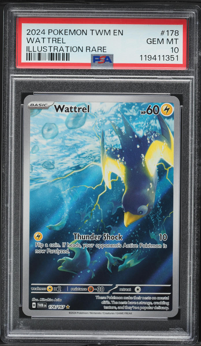 2024 Pokemon Scarlet & Violet Twilight Masquerade IR Wattrel #178 PSA 10 GEM