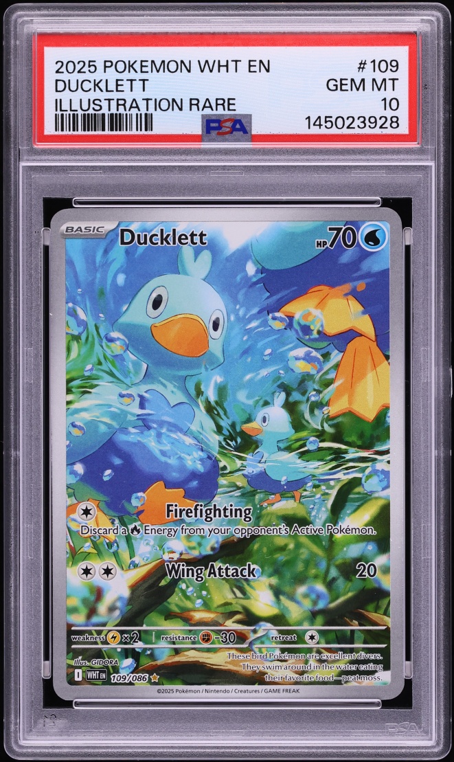 2025 Pokemon Scarlet & Violet White Flare IR Ducklett #109 PSA 10 GEM MINT