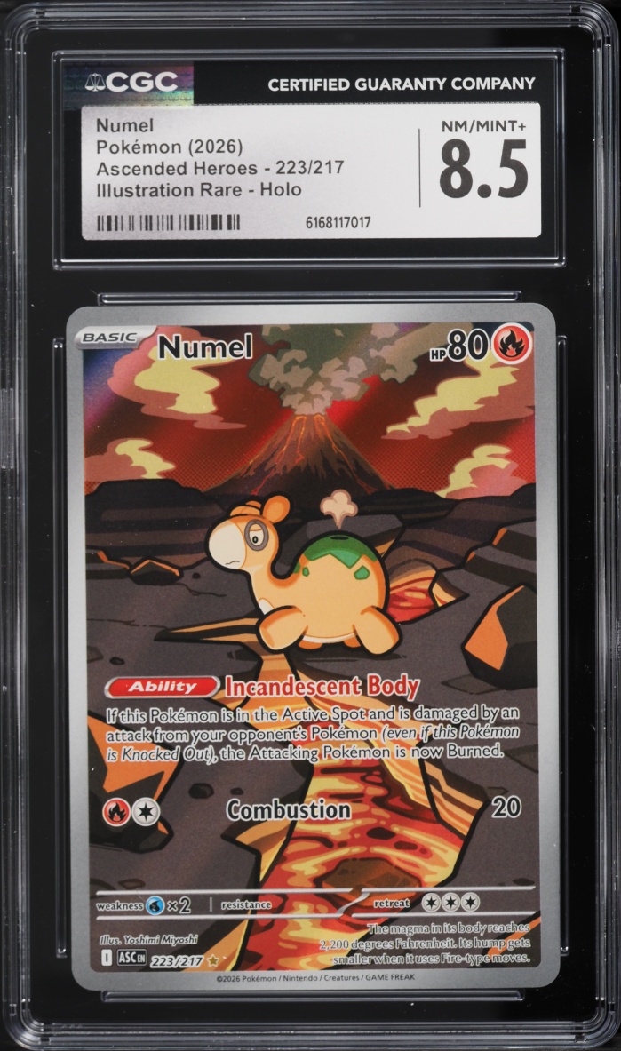2026 Pokemon Mega Evolution Ascended Heroes IR Numel #223 CGC 8.5 NM-MT+
