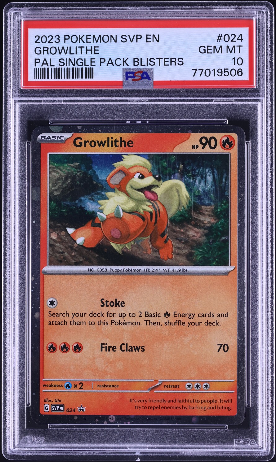 2023 Pokemon Scarlet & Violet Black Star Promo Paldea Evolved Growlithe #24 PSA 10 GEM MINT