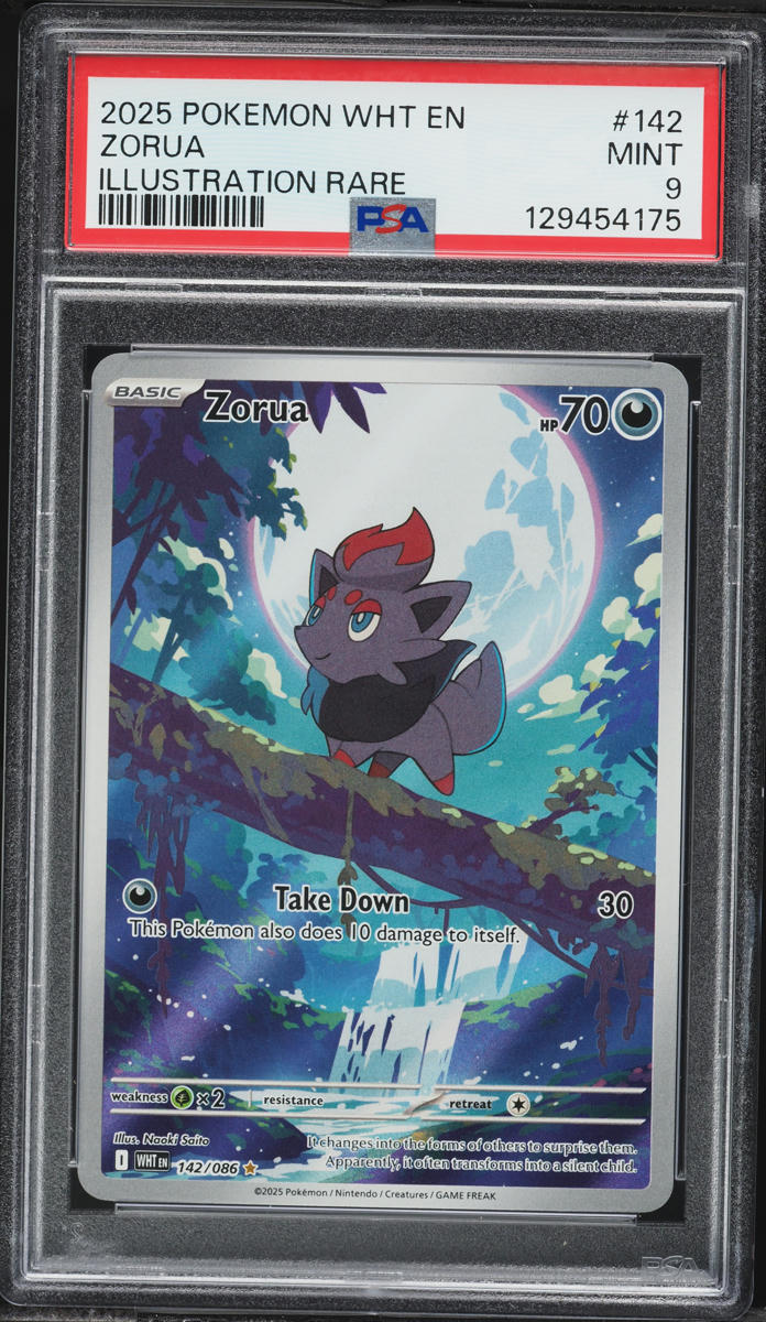 2025 Pokemon Scarlet & Violet White Flare IR Zorua #142 PSA 9 MINT