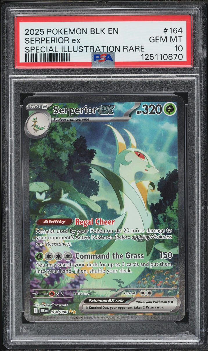 2025 Pokemon Scarlet & Violet Black Bolt SIR Serperior ex #164 PSA 10 GEM MINT