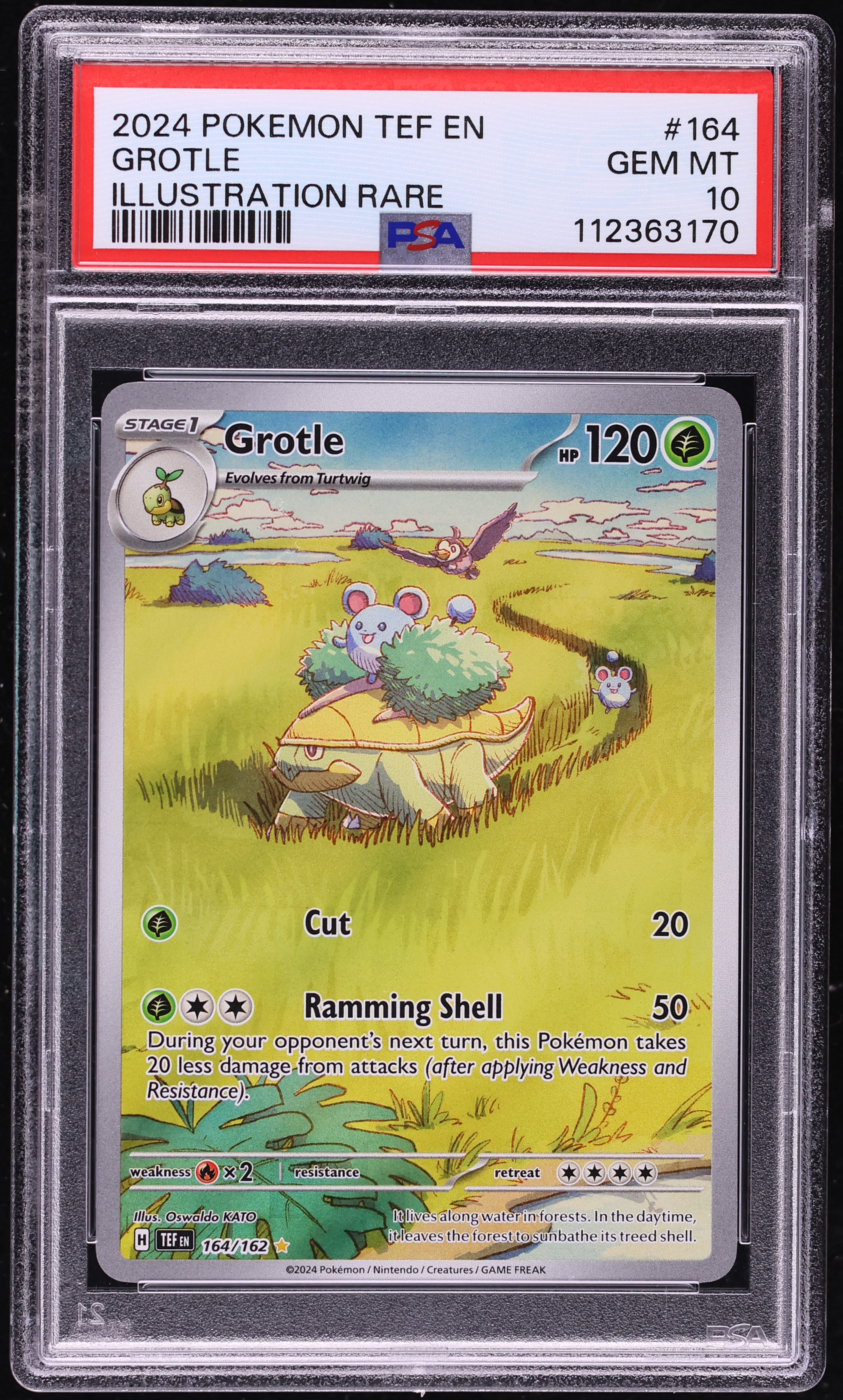 2024 Pokemon Scarlet & Violet Temporal Forces IR Grotle #164 PSA 10 GEM MINT