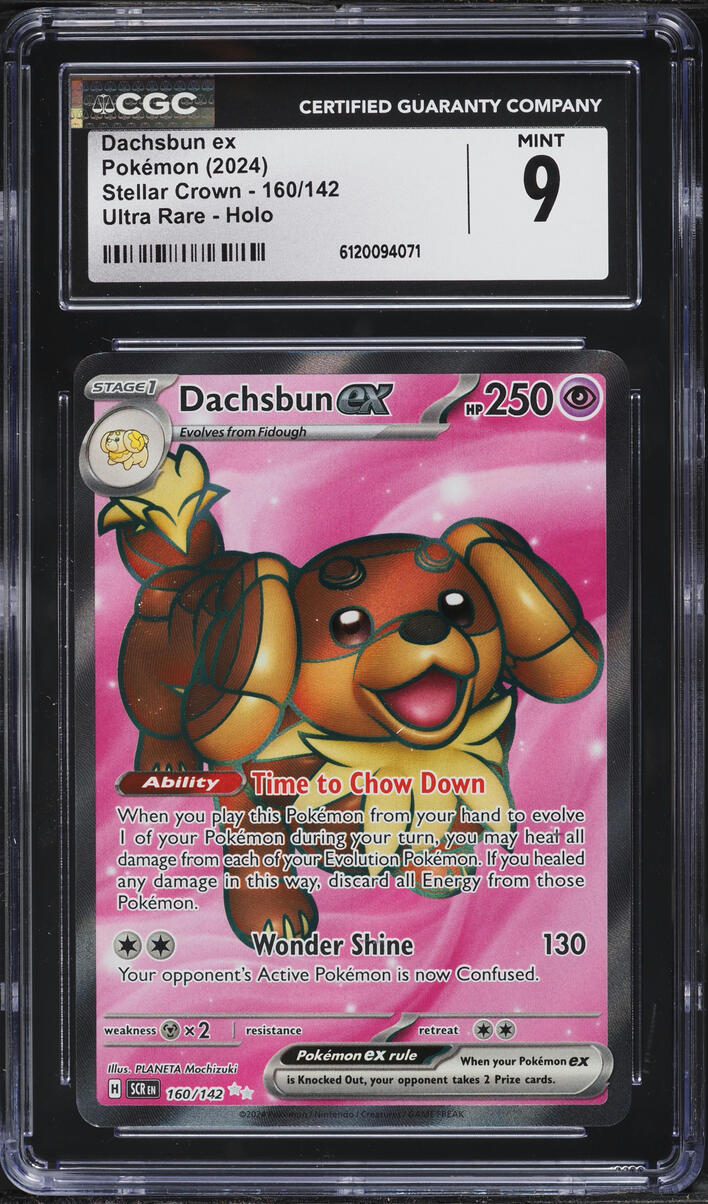 2024 Pokemon Scarlet & Violet Stellar Crown Full Art Dachsbun ex #160 CGC 9 MINT