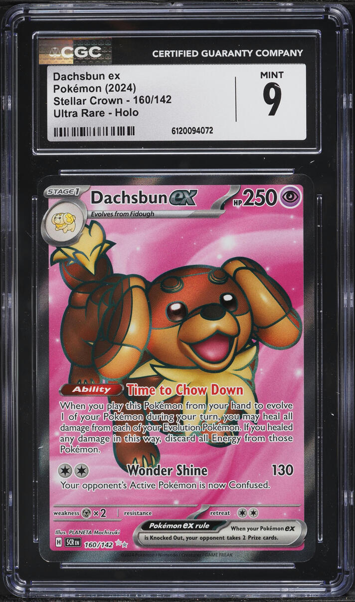 2024 Pokemon Scarlet & Violet Stellar Crown Full Art Dachsbun ex #160 CGC 9 MINT