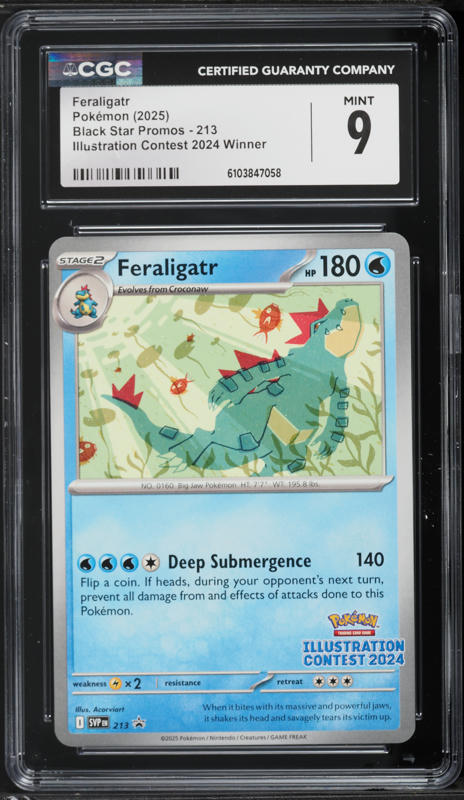 2025 Pokemon Scarlet & Violet Promo Illustration Contest '24