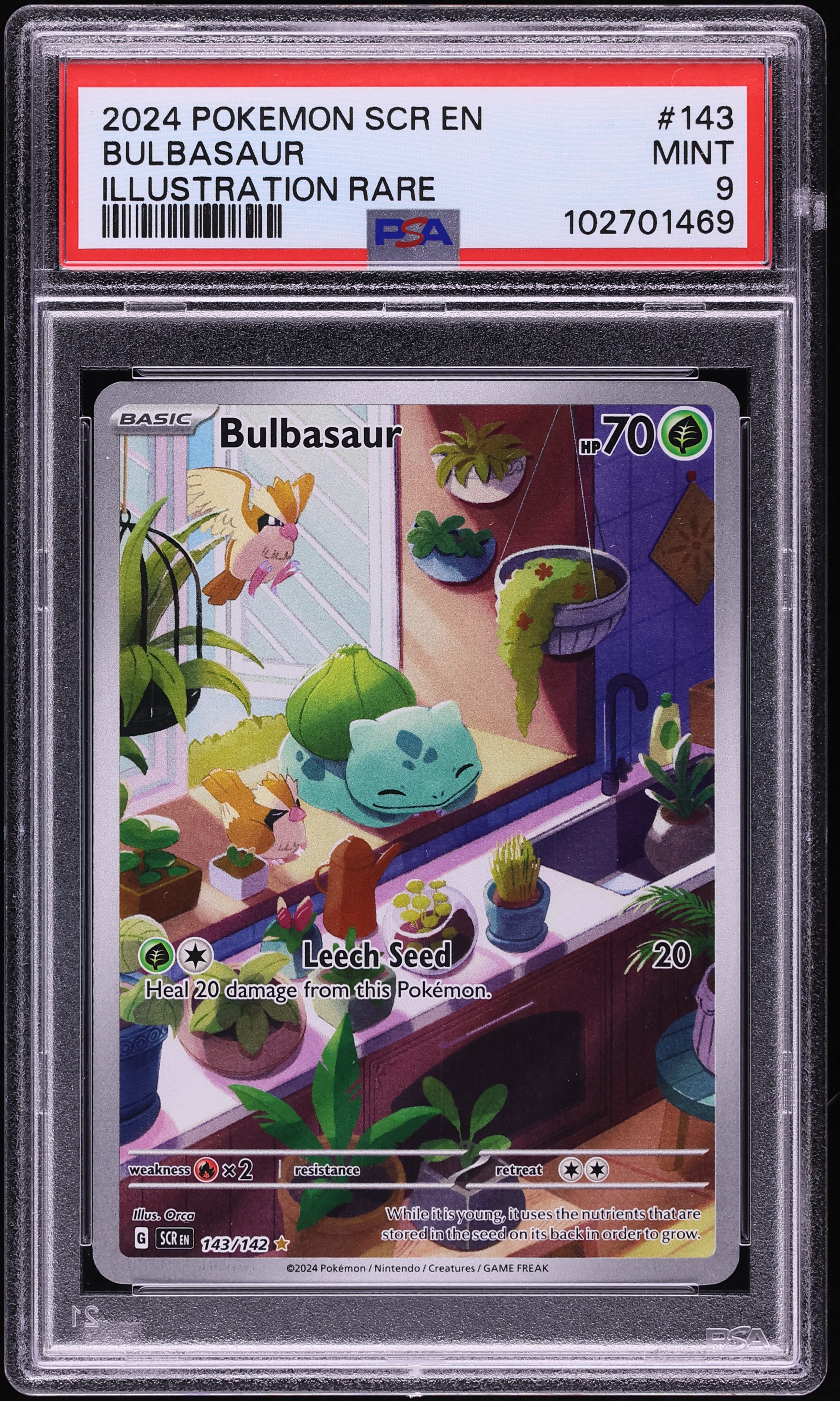 2024 Pokemon Scarlet & Violet Stellar Crown IR Bulbasaur #143 PSA 9 MINT