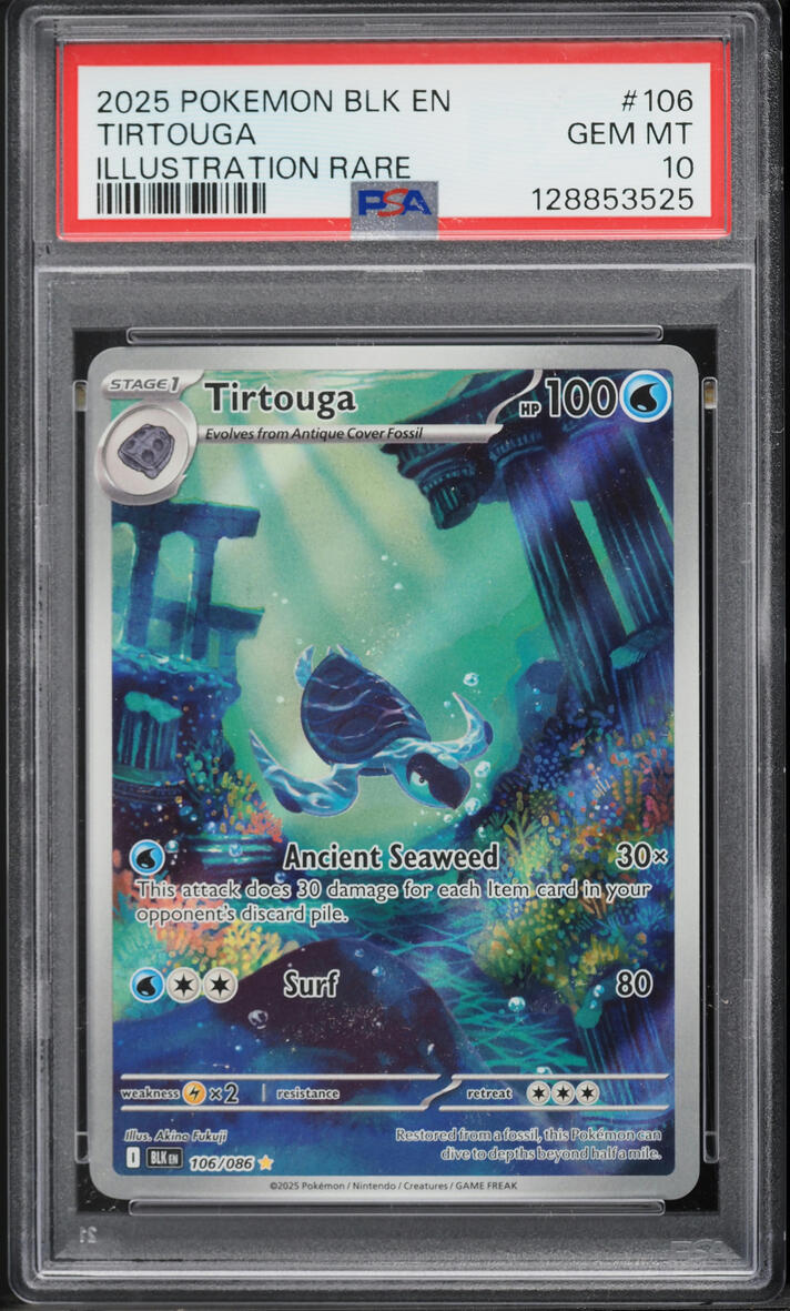 2025 Pokemon Scarlet & Violet Black Bolt IR Tirtouga #106 PSA 10 GEM MINT