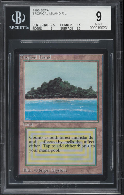 1993 Magic The Gathering MTG Alpha Dual Land Tropical Island PSA