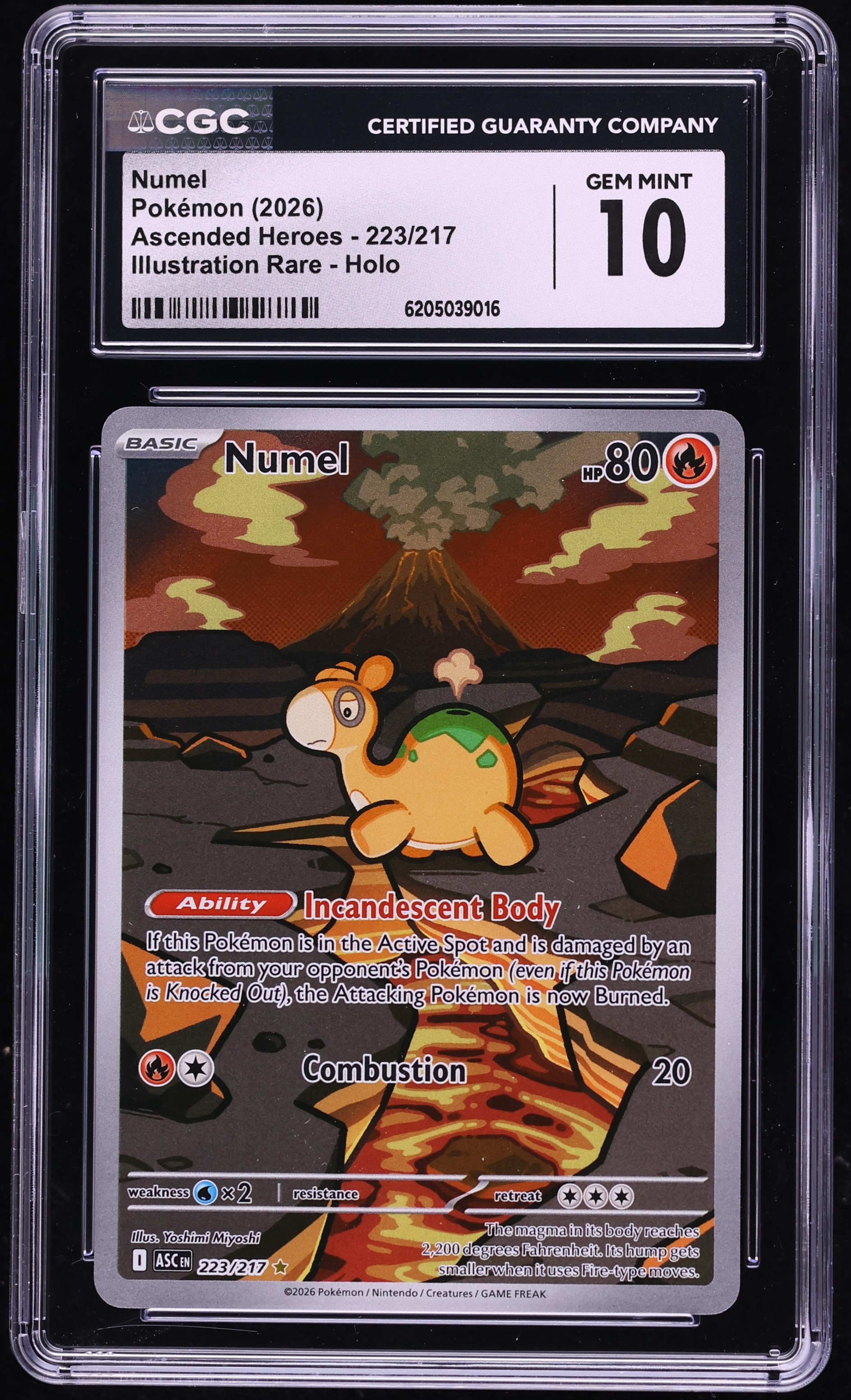 2026 Pokemon Mega Evolution Ascended Heroes IR Numel #223 CGC 10 GEM MINT