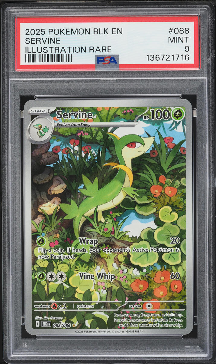 2025 Pokemon Scarlet & Violet Black Bolt IR Servine #88 PSA 9 MINT