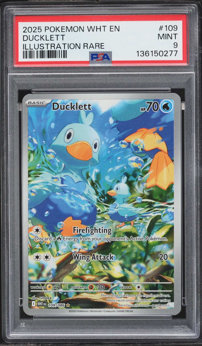 2025 Pokemon Scarlet & Violet White Flare IR Ducklett #109 PSA 9 MINT