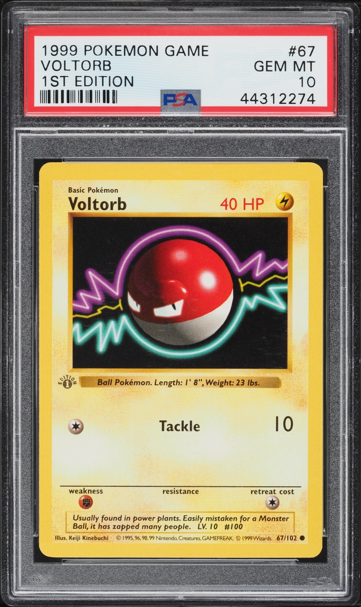 1999 Pokemon Base Set Shadowless 1st Edition Voltorb #67 PSA 10 GEM MINT