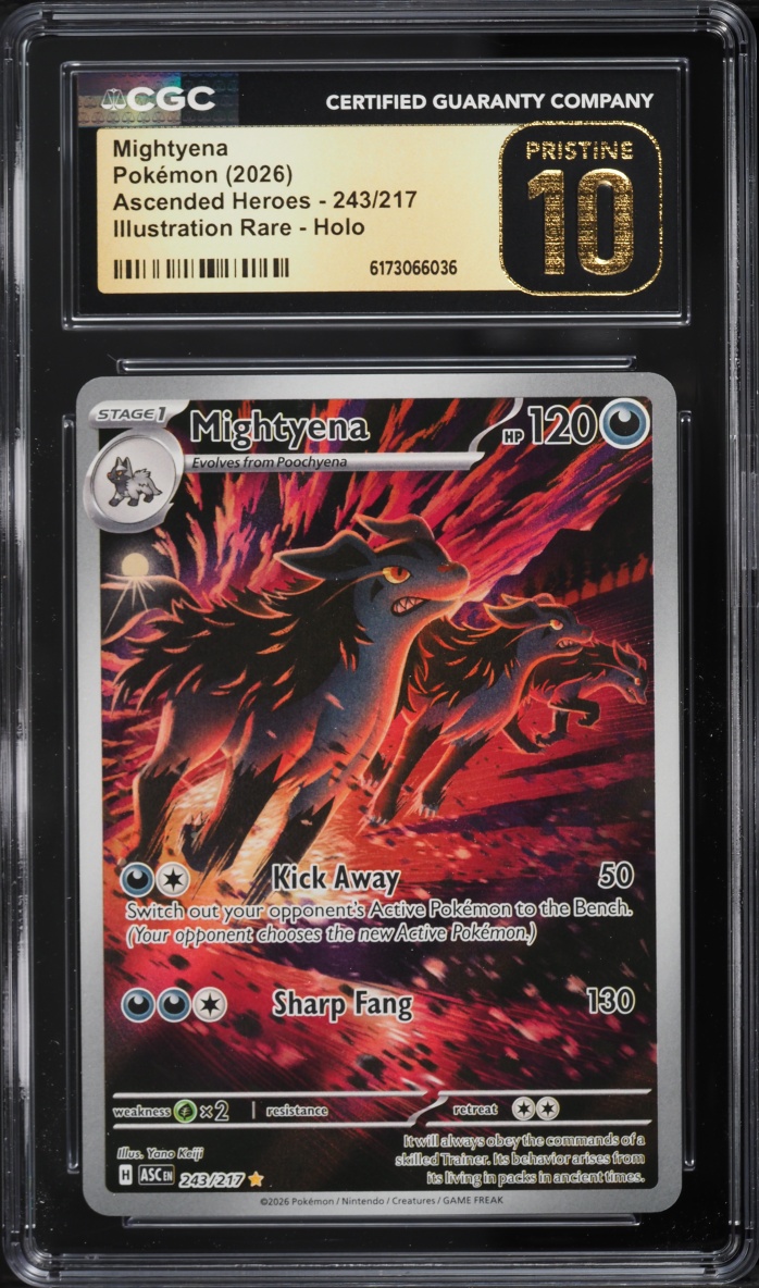 2026 Pokemon Mega Evolution Ascended Heroes IR Mightyena #243 CGC 10 PRISTINE
