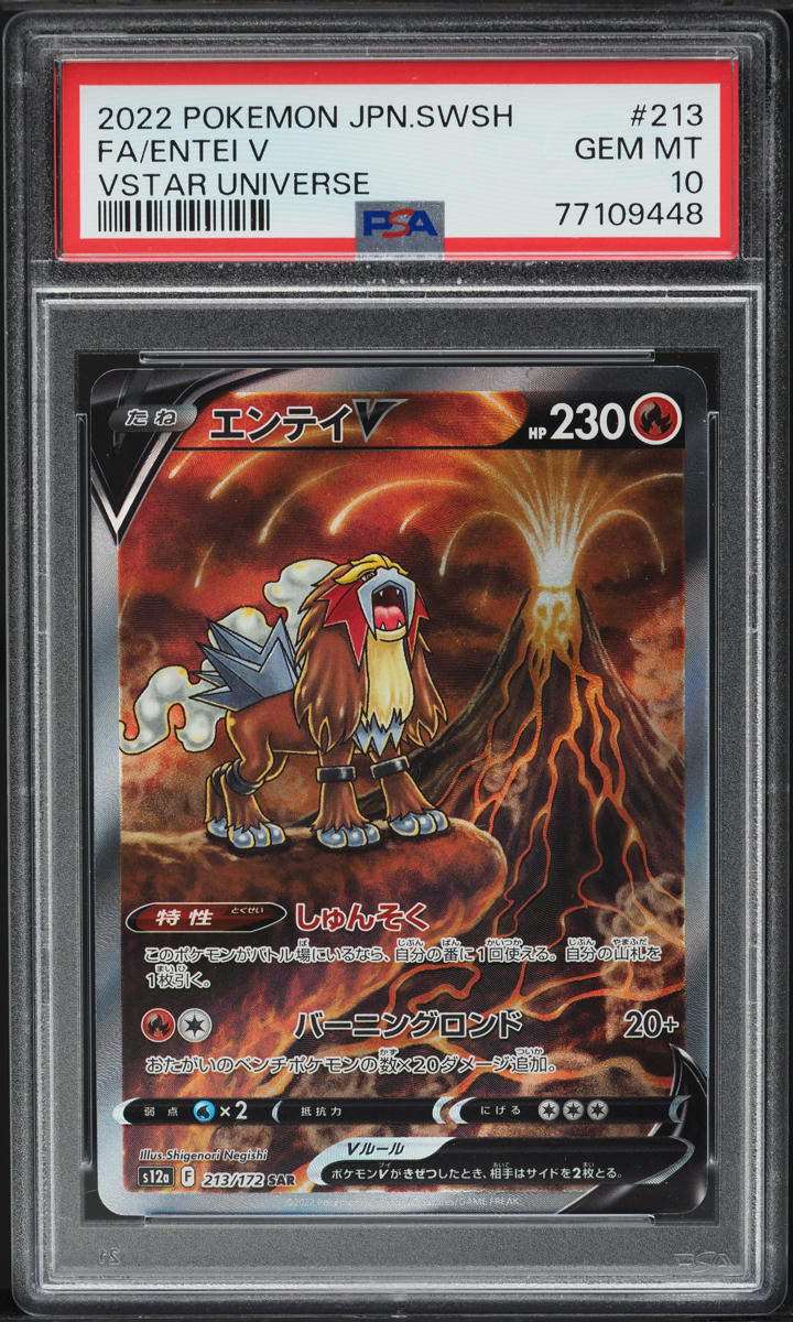 2022 Pokemon Japanese Sword & Shield VSTAR Universe SAR Entei V #213 PSA 10 GEM MINT