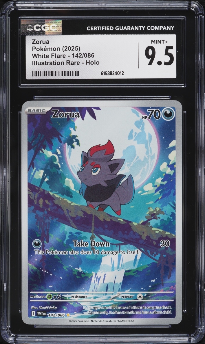 2025 Pokemon Scarlet & Violet White Flare IR Zorua #142 CGC 9.5 MINT+