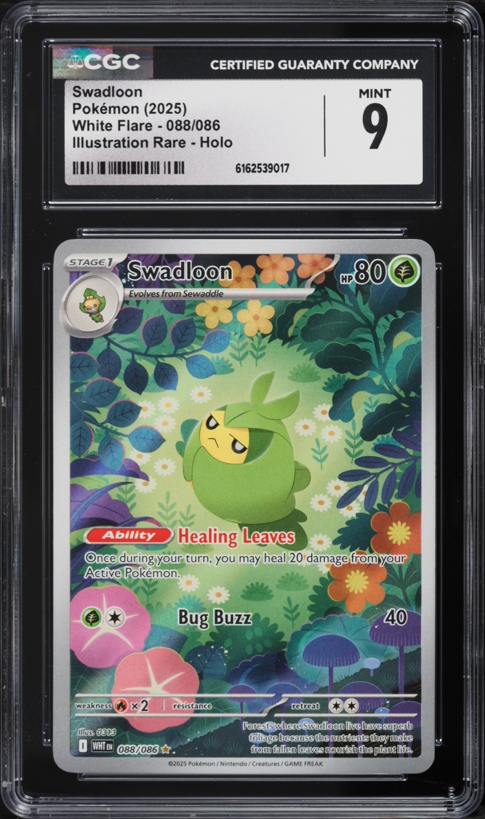2025 Pokemon Scarlet & Violet White Flare IR Swadloon #88 CGC 9 MINT