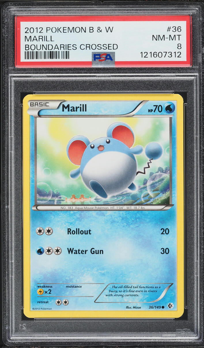 2012 Pokemon Black & White Boundaries Crossed Marill #36 PSA 8 NM-MT