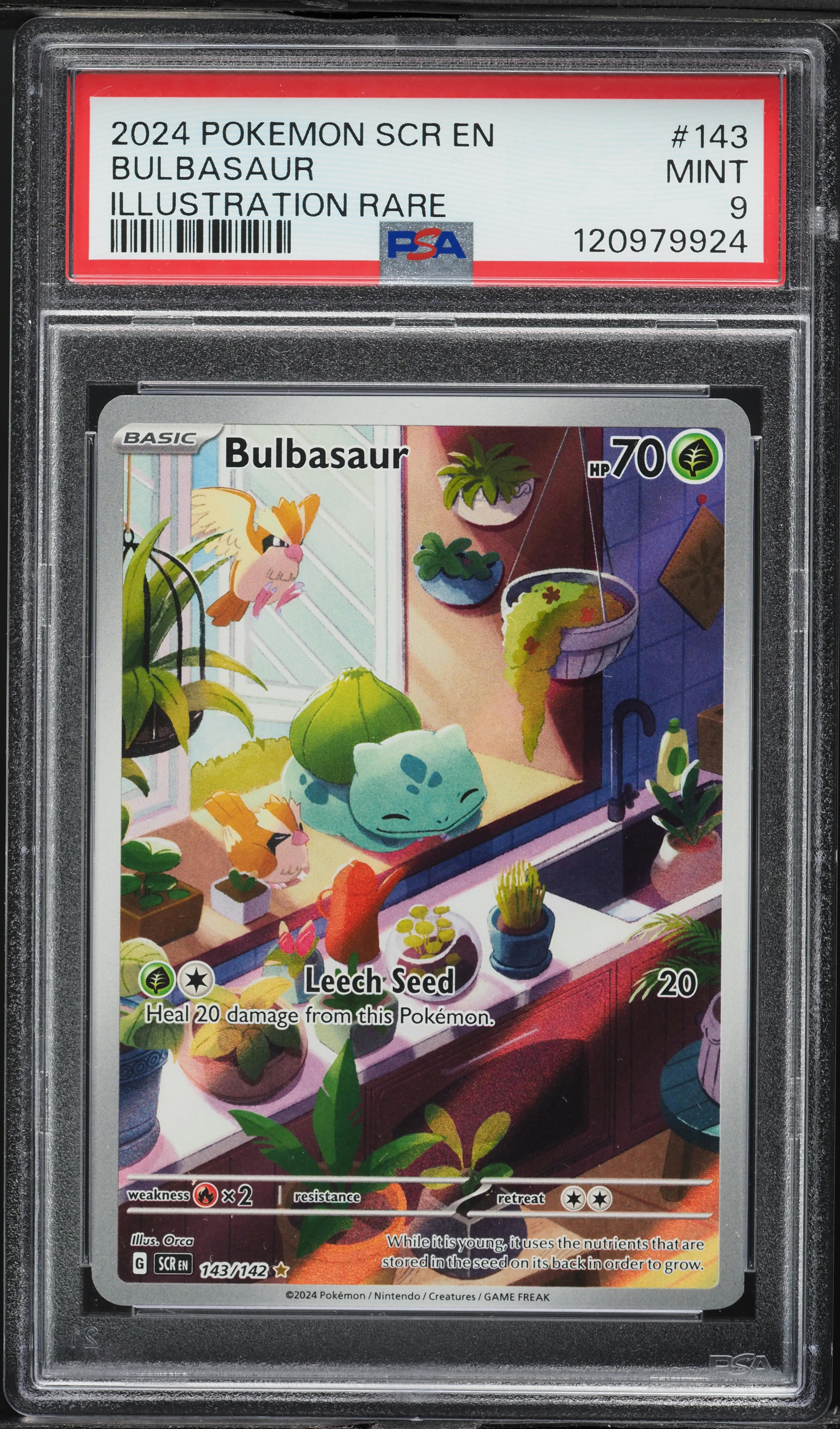 2024 Pokemon Scarlet & Violet Stellar Crown IR Bulbasaur #143 PSA 9 MINT