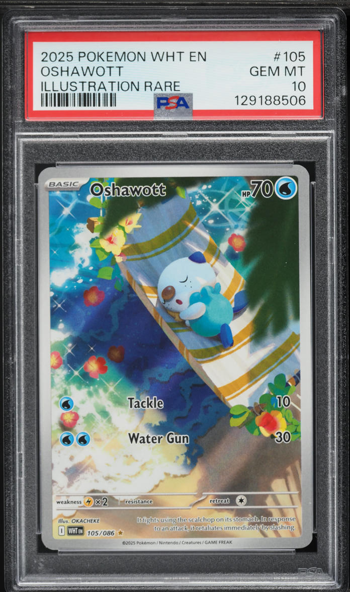 2025 Pokemon Scarlet & Violet White Flare IR Oshawott #105 PSA 10 GEM MINT