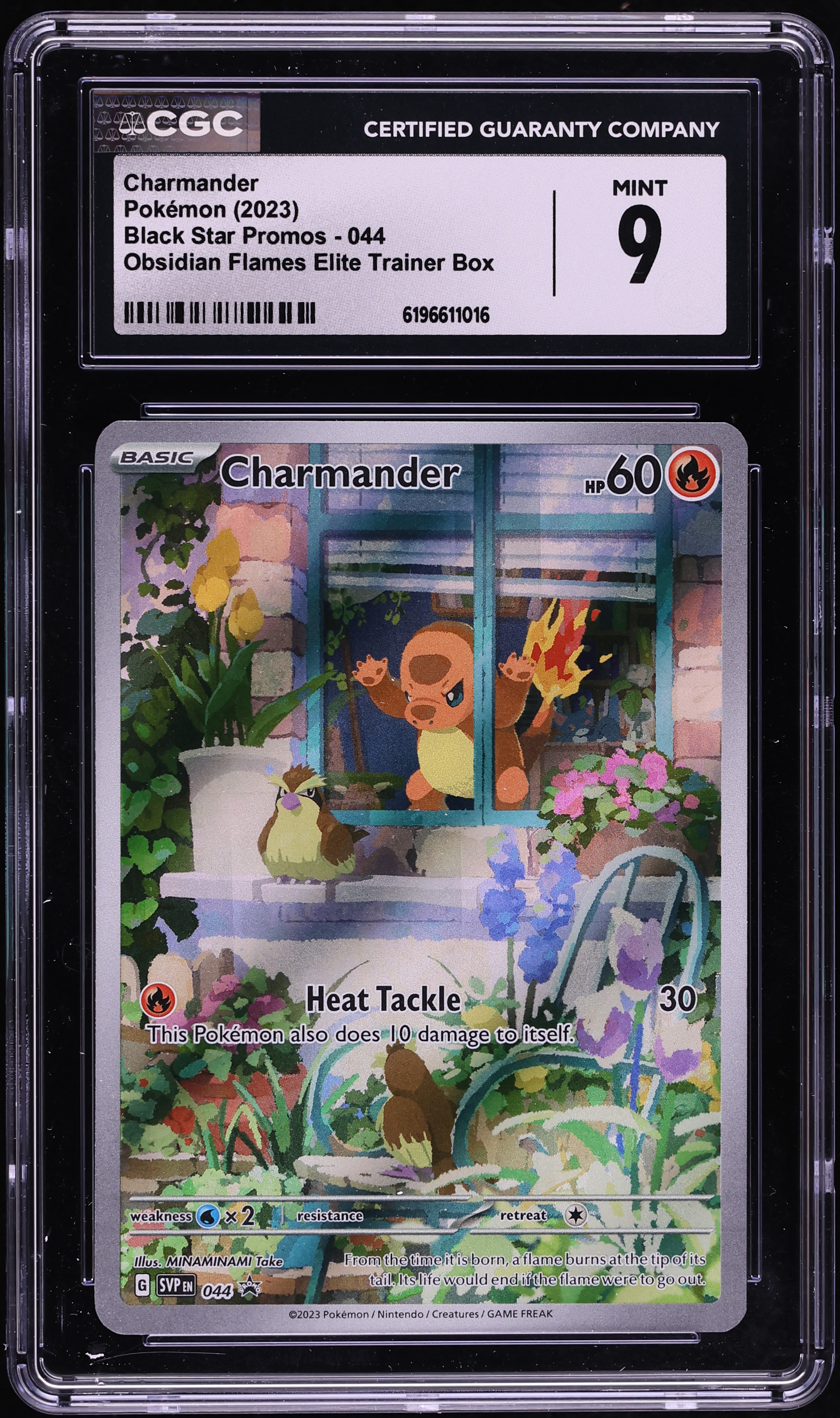 2023 Pokemon Scarlet & Violet Promo Obsidian Flames ETB Full Art Charmander #44 CGC 9 MINT
