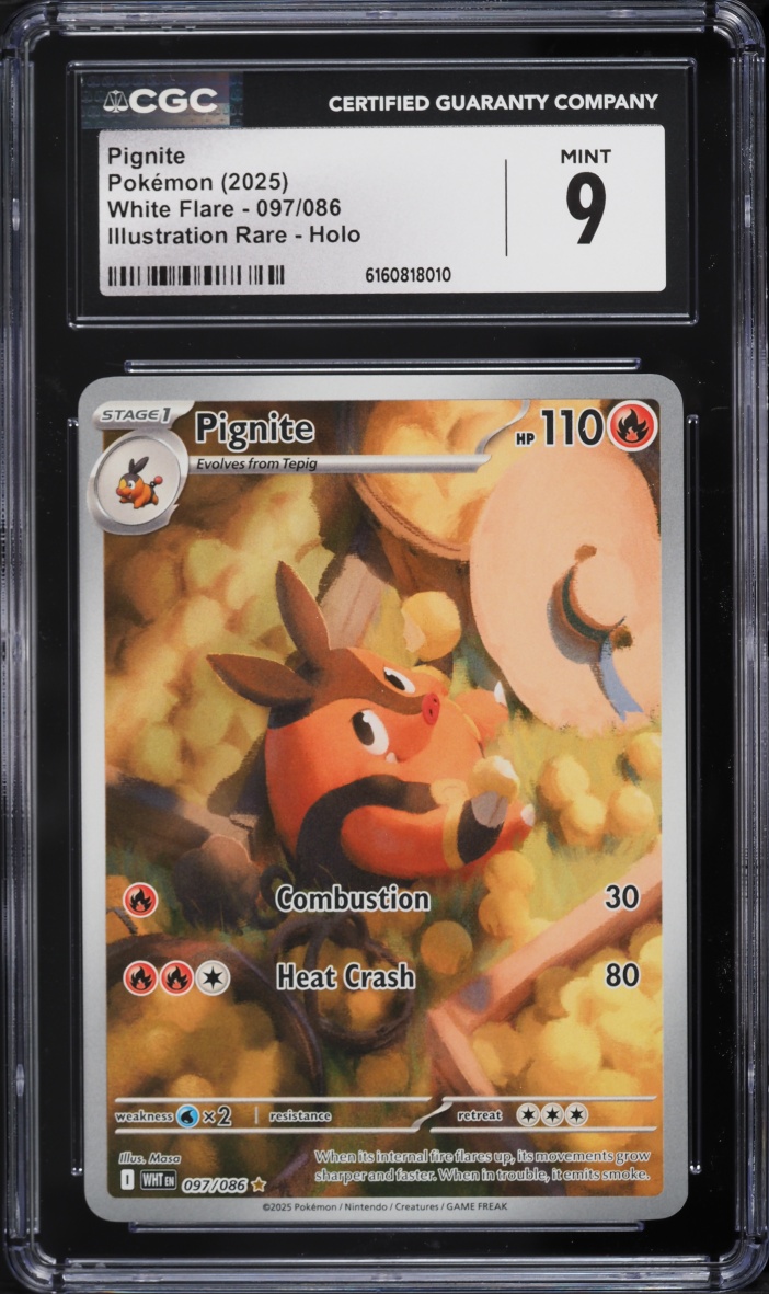 2025 Pokemon Scarlet & Violet White Flare IR Pignite #97 CGC 9 MINT