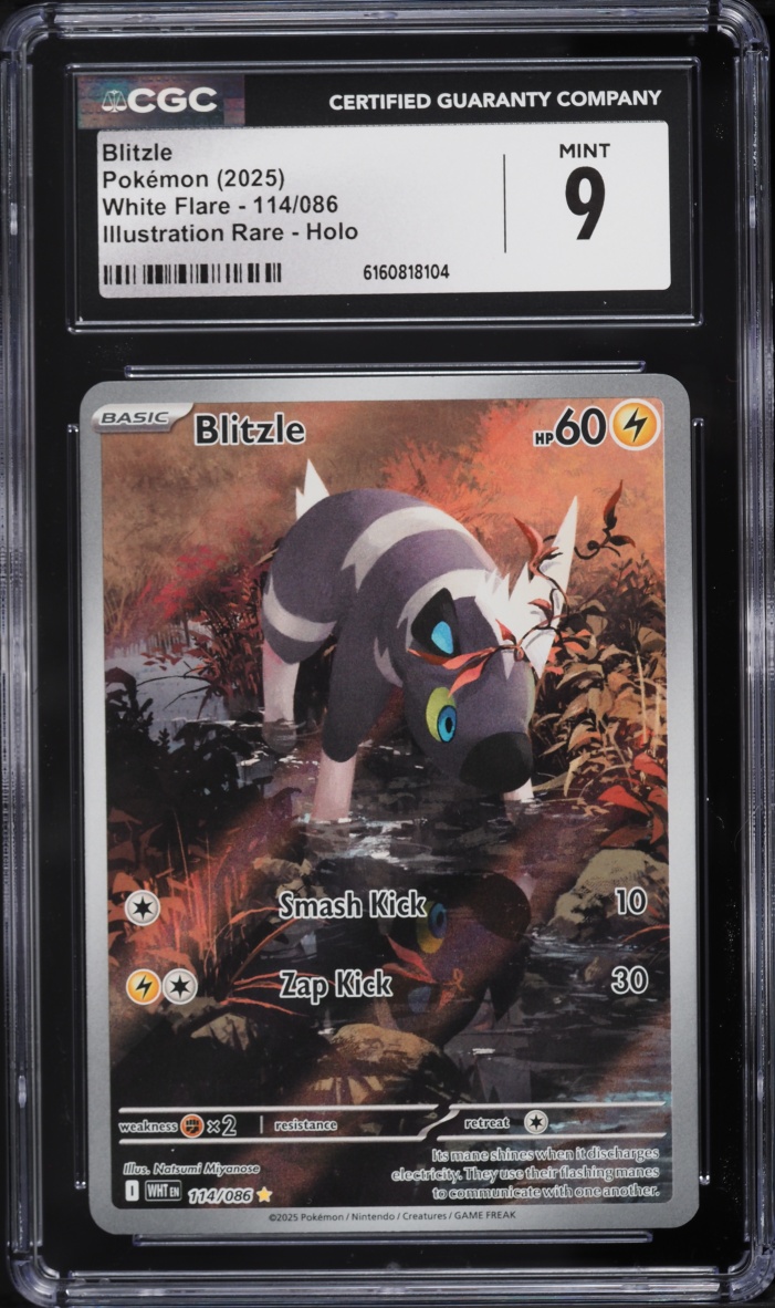 2025 Pokemon Scarlet & Violet White Flare IR Blitzle #114 CGC 9 MINT