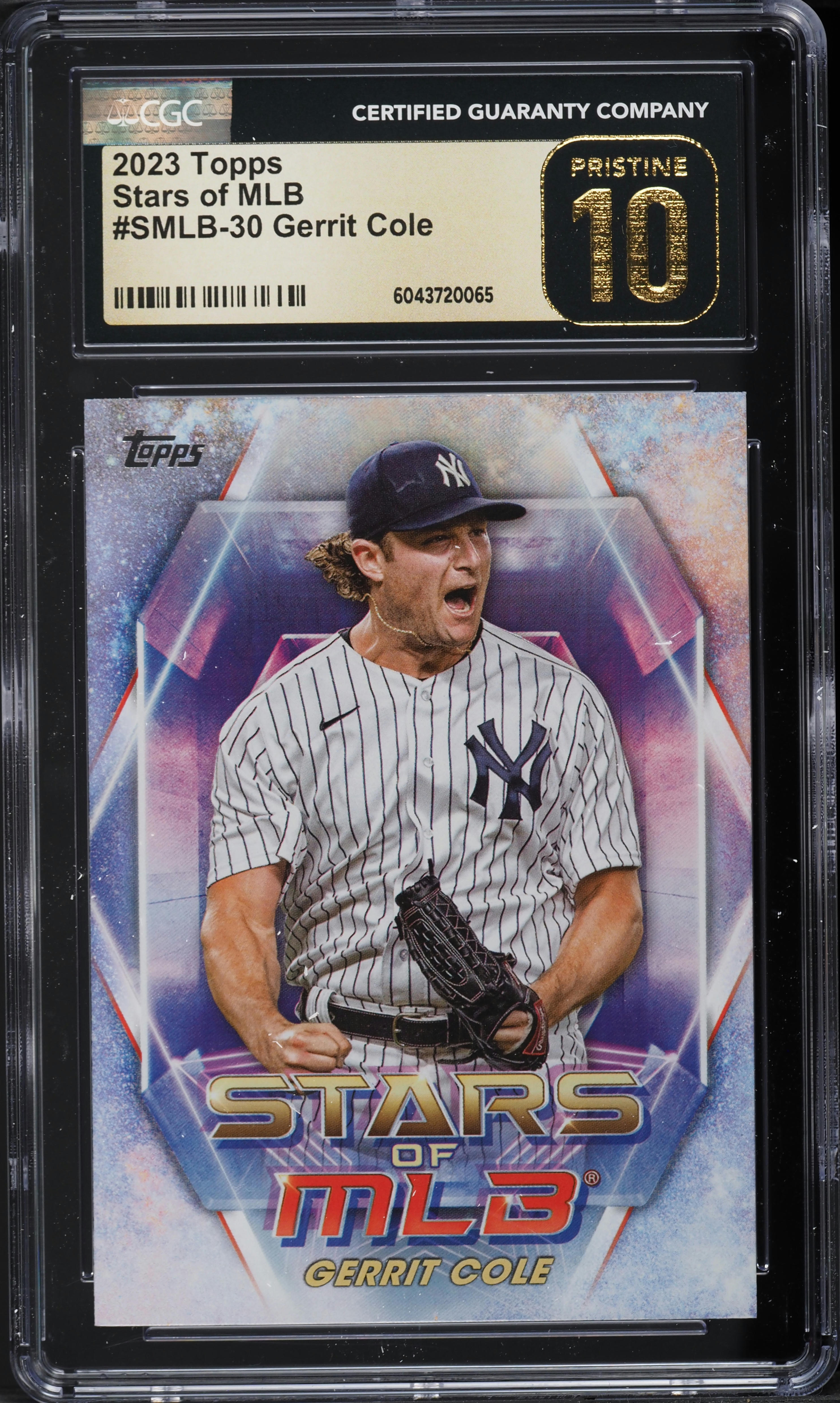 topps 2023 NPB ライデルマルティネス　5シリーズ 2023 TOPPS NPB 206 ライデル・マルティネス 1/1 - メルカリ