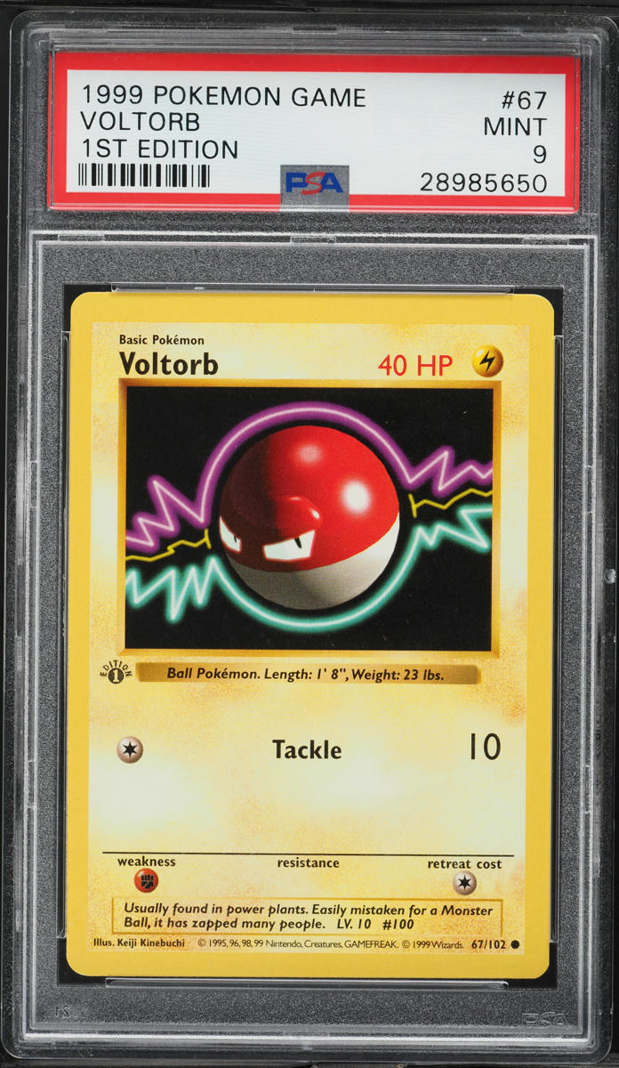 1999 Pokemon Base Set Shadowless 1st Edition Voltorb #67 PSA 9 MINT