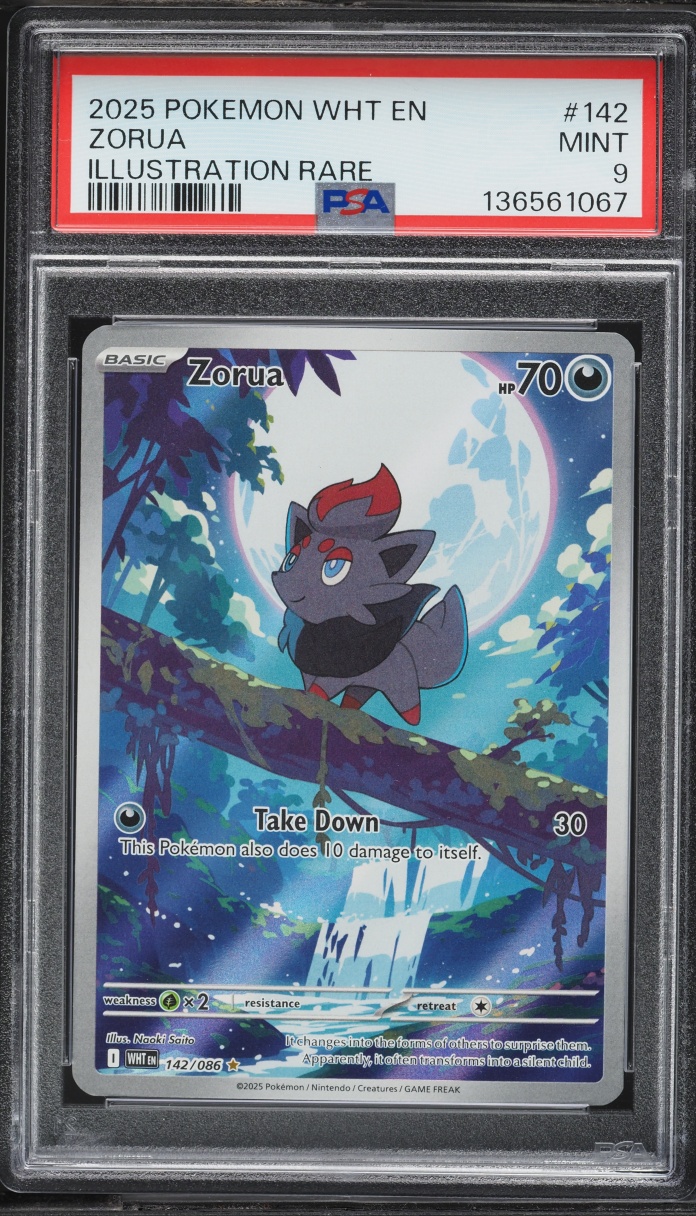 2025 Pokemon Scarlet & Violet White Flare IR Zorua #142 PSA 9 MINT
