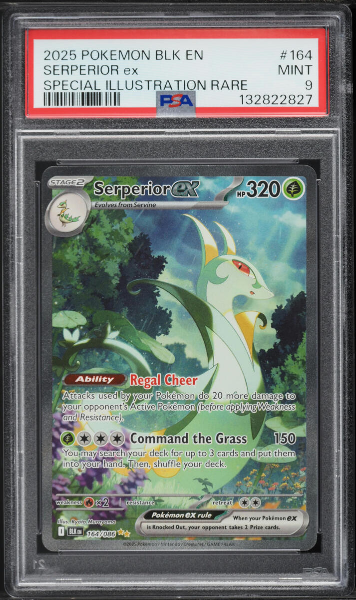 2025 Pokemon Scarlet & Violet Black Bolt SIR Serperior ex #164 PSA 9 MINT