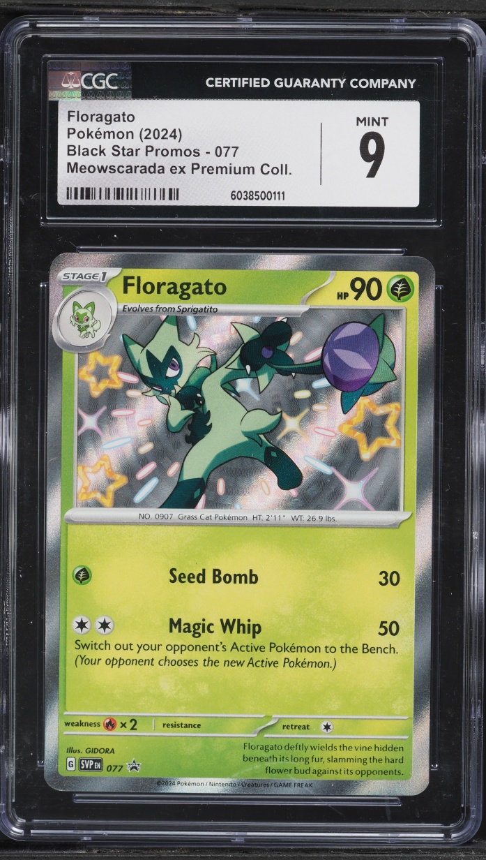 2024 Pokemon Scarlet & Violet Black Star Promo Premium Collection Floragato #77 CGC 9 MINT