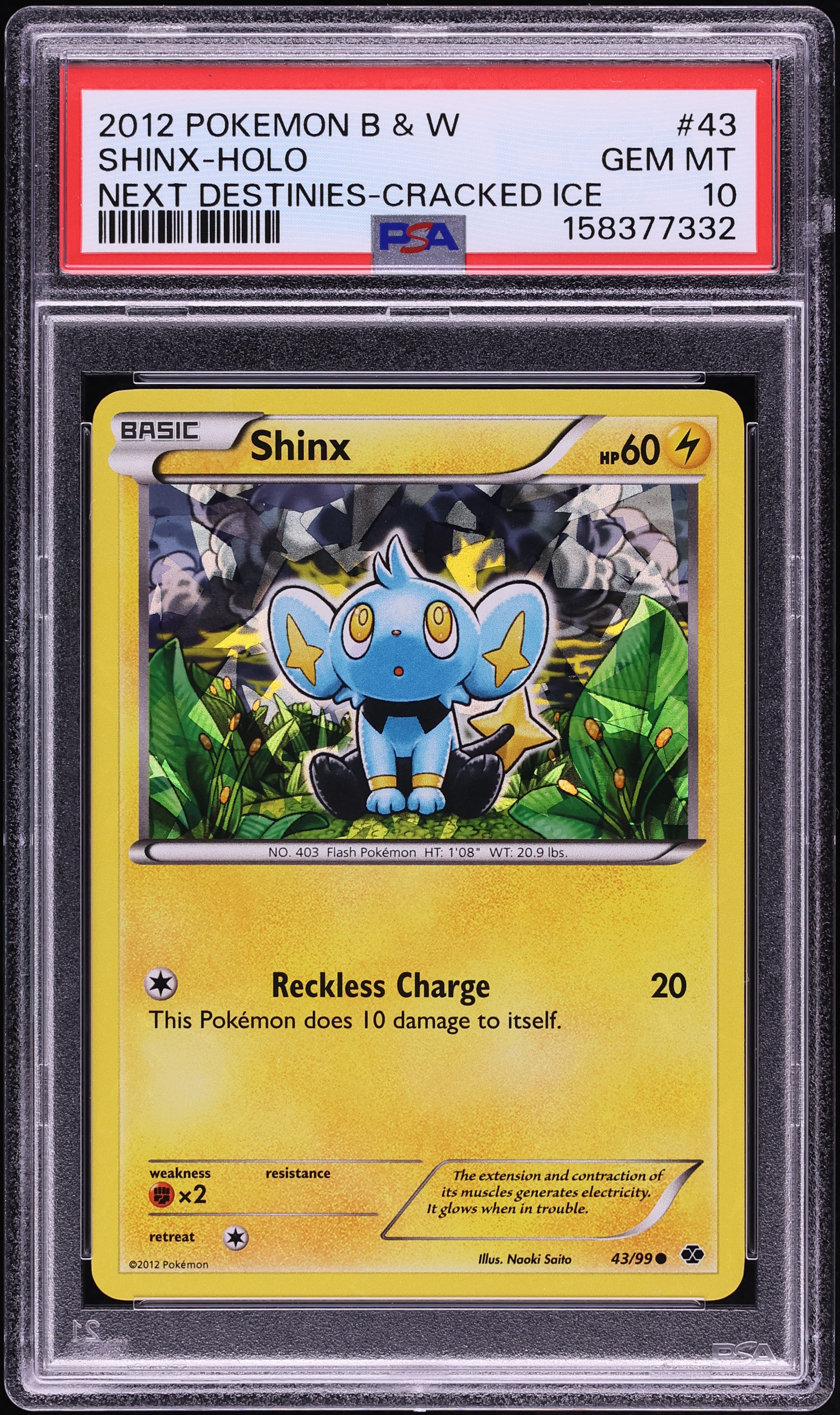 2012 Pokemon Black & White Next Destinies Cracked Ice Holo Shinx #43 PSA 10 GEM MINT