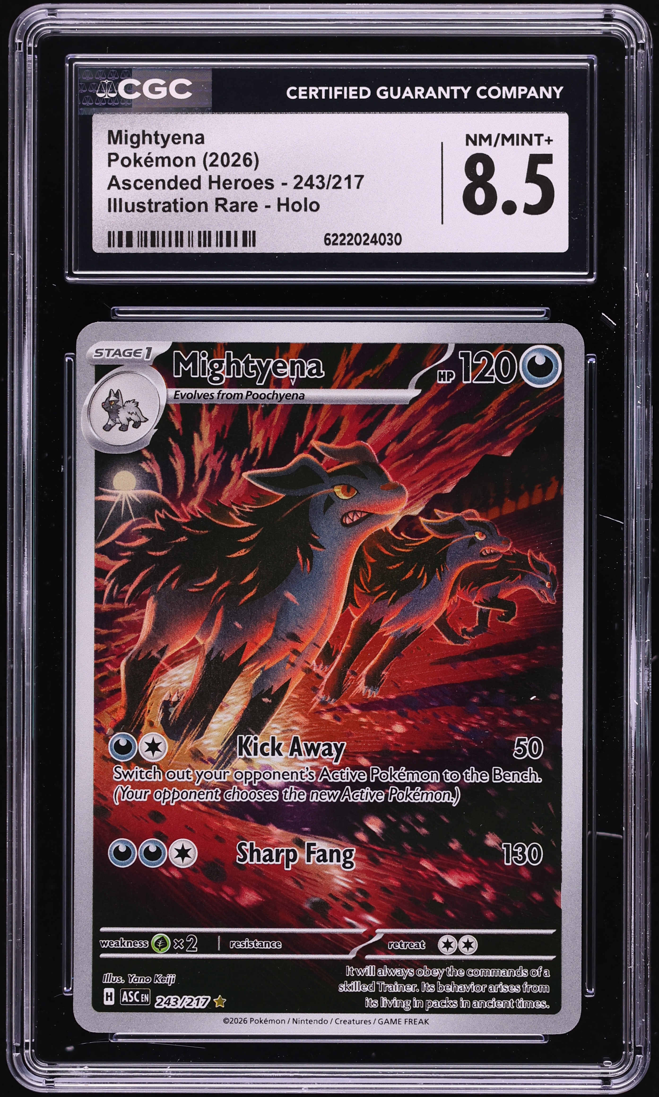 2026 Pokemon Mega Evolution Ascended Heroes IR Mightyena #243 CGC 8.5 NM-MT+