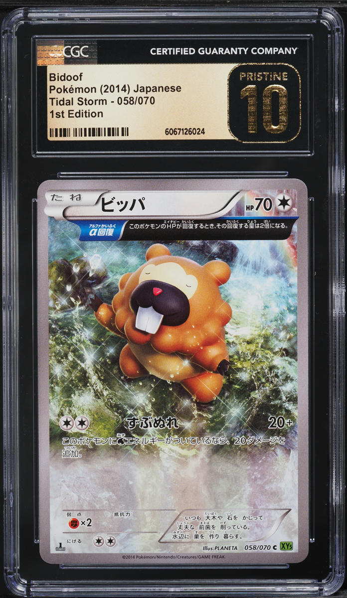 2014 Pokemon Japanese XY Tidal Storm 1st Edition Bidoof #58 CGC 10 PRISTINE