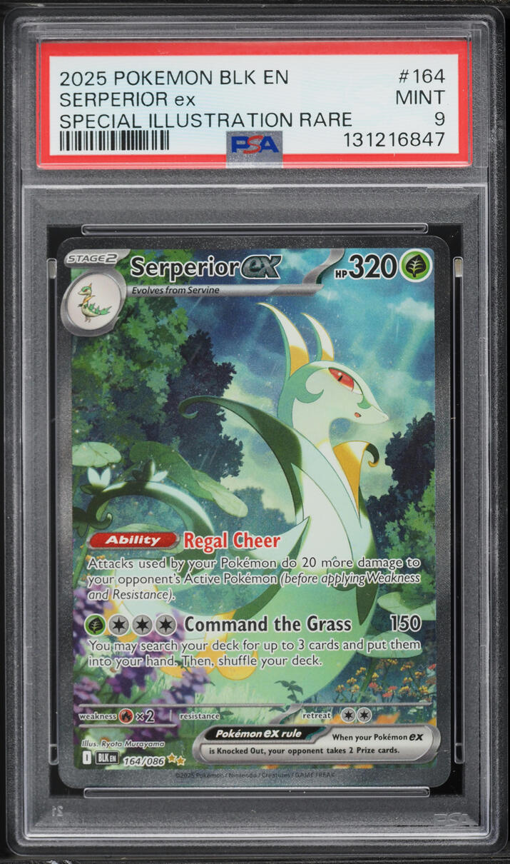 2025 Pokemon Scarlet & Violet Black Bolt SIR Serperior ex #164 PSA 9 MINT